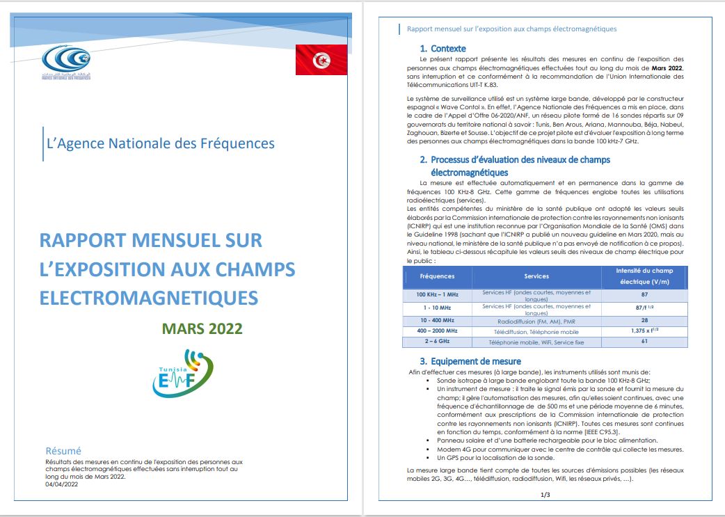Rapport Mars 2022 1