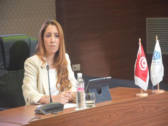 الوكالة الوطنية للترددات تنظم الإجتماع (29) لفريق العمل   العربي للطيف الترددي